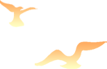 110507chsfhh00i6c32c9d.png