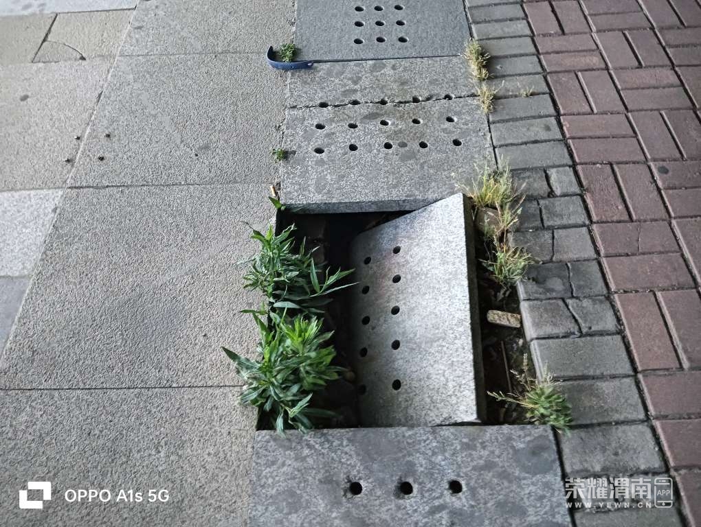 20260512221506front2_0_309461_FrkEIJPx4FZEJJEngOIue1HfYuLM.jpg
