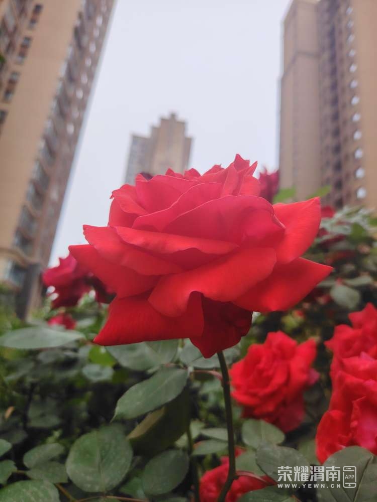 20260513122446front2_0_302775_FqyQ6Gy-Ic81V9lVg7zTVT8rdZK-.jpg