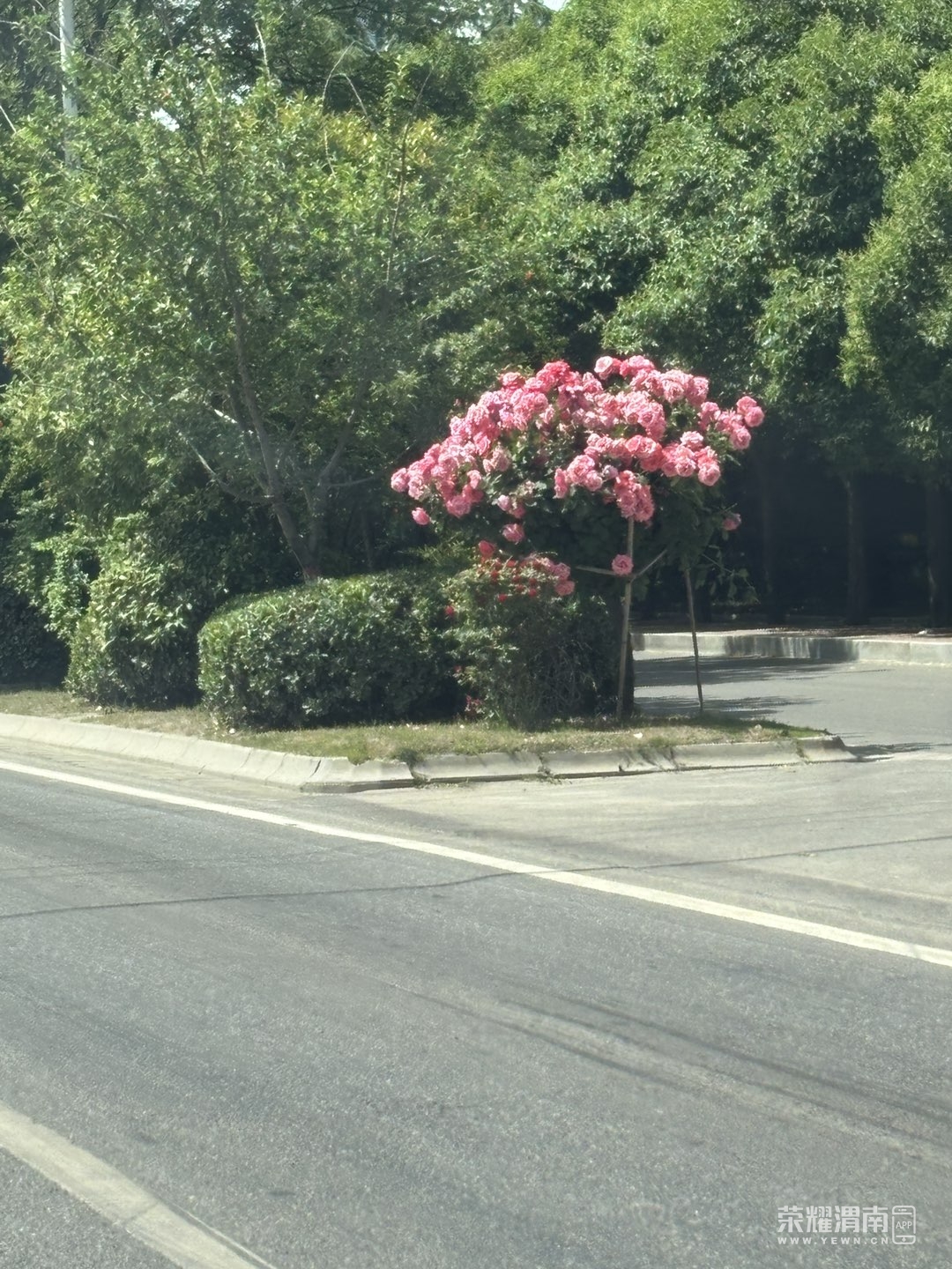 20260514161641front1_0_283163_FtvMm39jFI7vgNyZvKdEYCiJuY9V.jpg