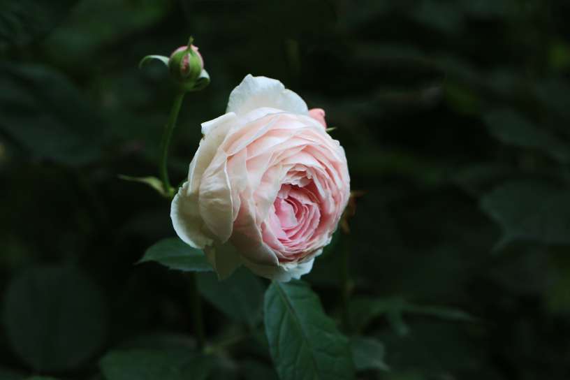 20260516202703front2_0_161040_FhgxrX9_-CdkzFYqbs9-B7ej_zW3.jpg