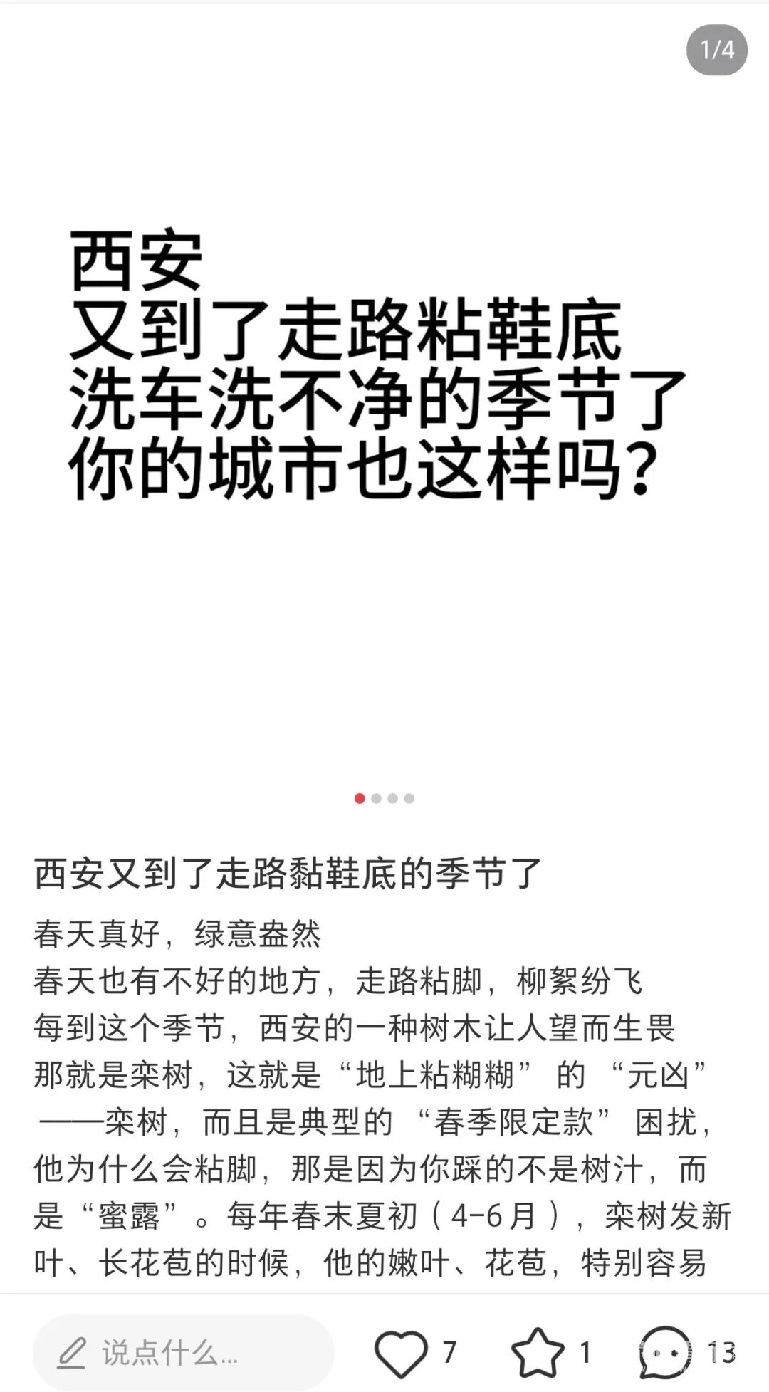 162757sjl9zqhephle156e.jpeg
