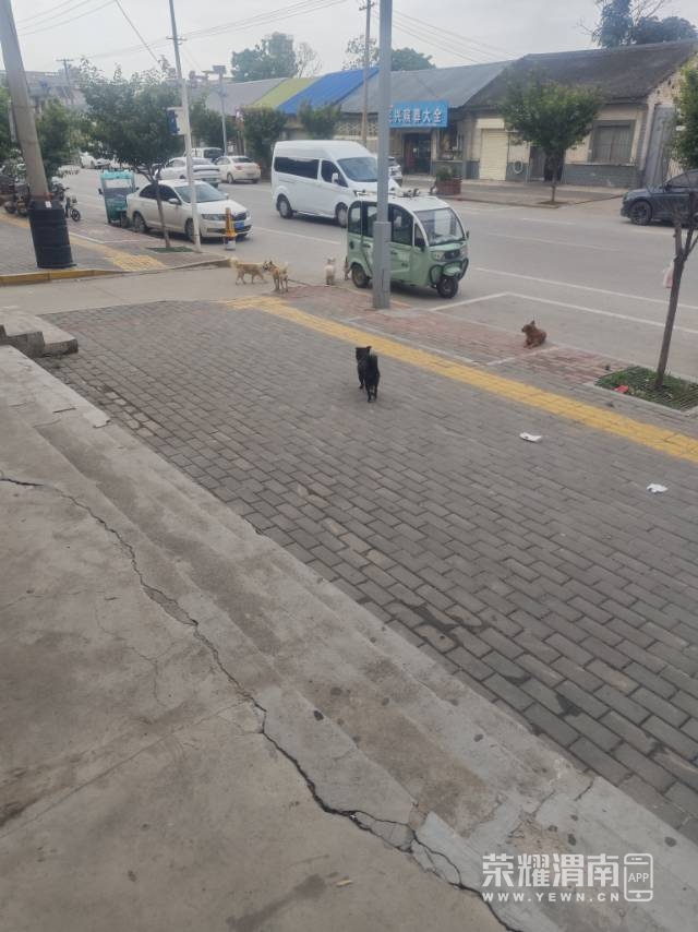 20260526182036mini_bbs_wap_311073_FoXcQDz1vJBpiqJD04orBqIV8HG_.jpg