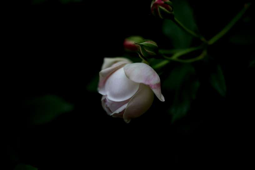 20260530213135front2_0_161040_FjR-YNjvsBx4Vri15ka5f965L1sP.jpg
