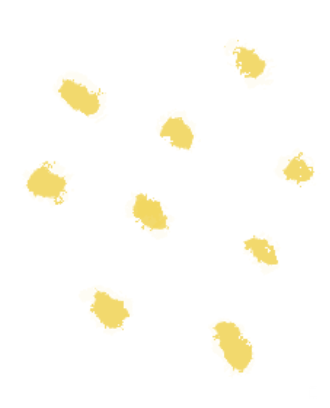 102924lmee44w6jbws0qqq.png