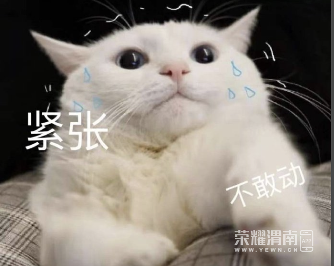151950fdddzo1usj4j4f14.png