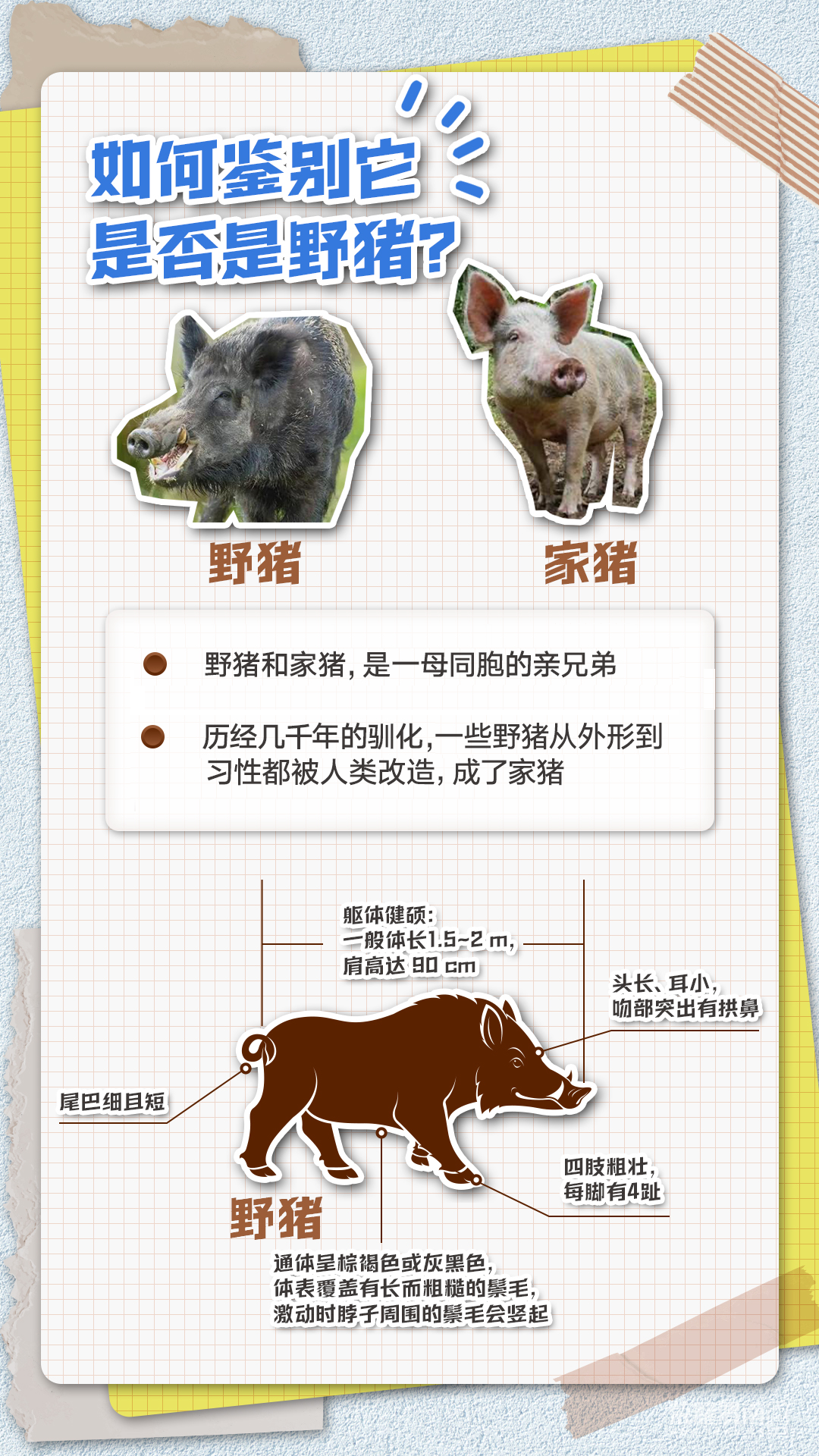 170309ijnn8vondjkzgnjv.png
