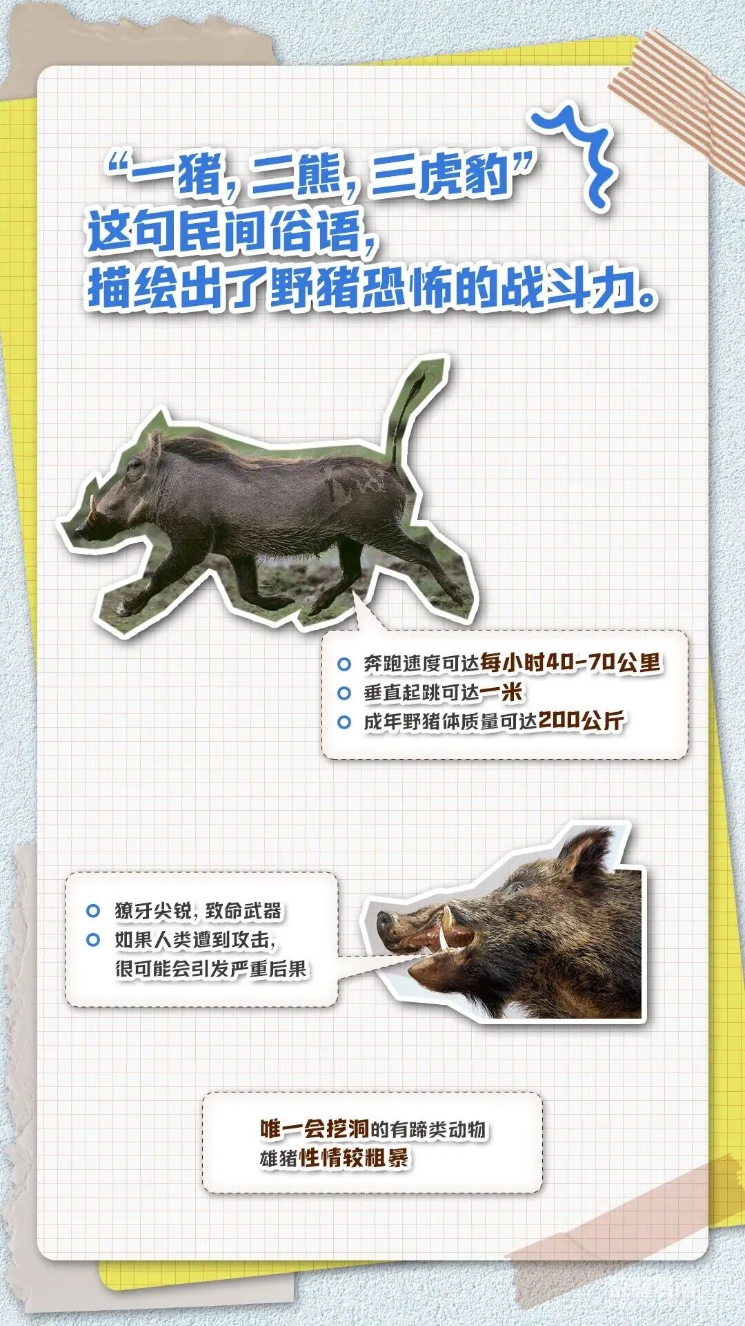 170310kjo8kkaikxosoaz8.jpeg