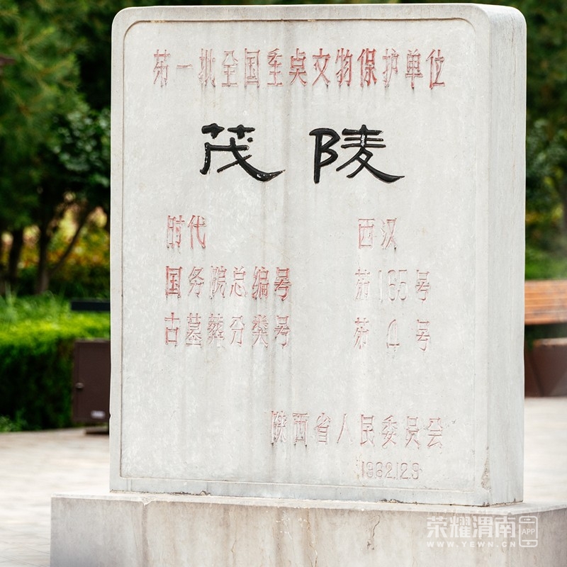 _ZFE7482.jpg