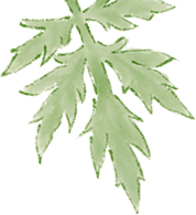 095148f2y4ozrpuyr4url4.png