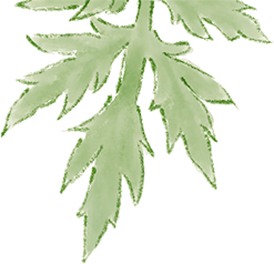 095149a2ypmlmsdylosyqm.png
