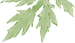 095150wqczxfmfqttigrng.png