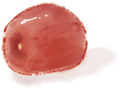 095152a6z450p78zef4t9e.png