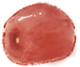 095154zlhp6livlvs77fl2.png