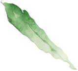 100427n0unpuo6ouuuv6n4.png