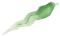 100428g8q6w6m68bwu0ww2.png