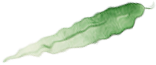100436vkq5rtwpd0kadfrl.png