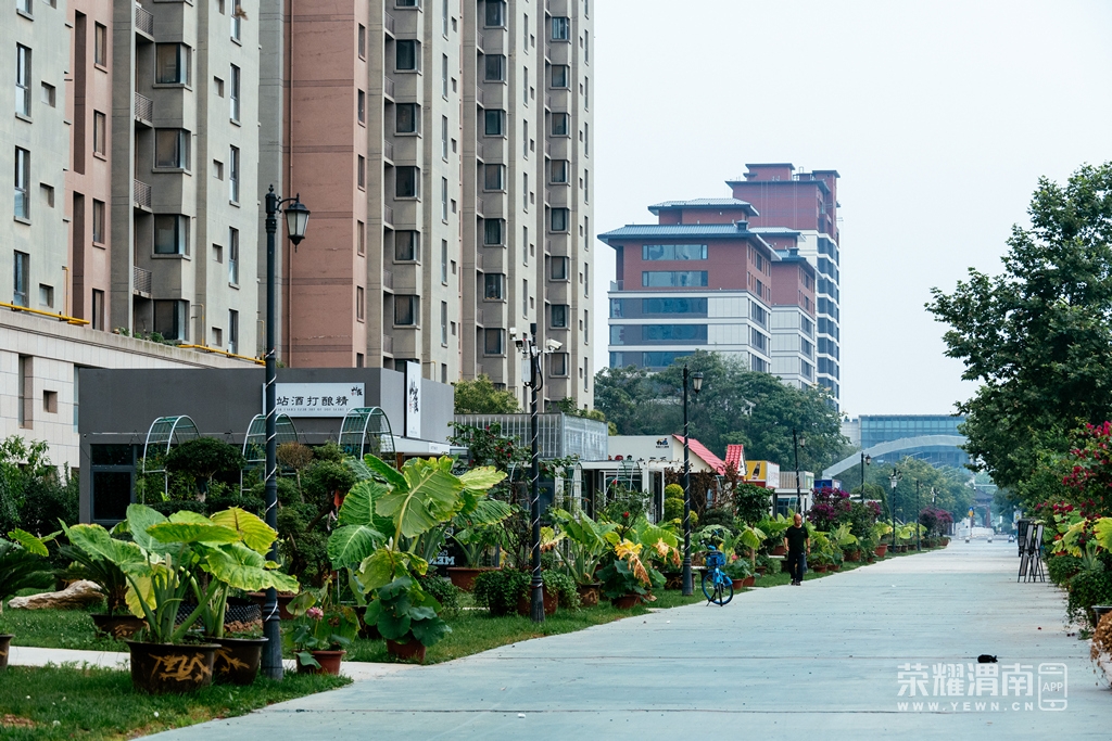 _ZFE8149.jpg
