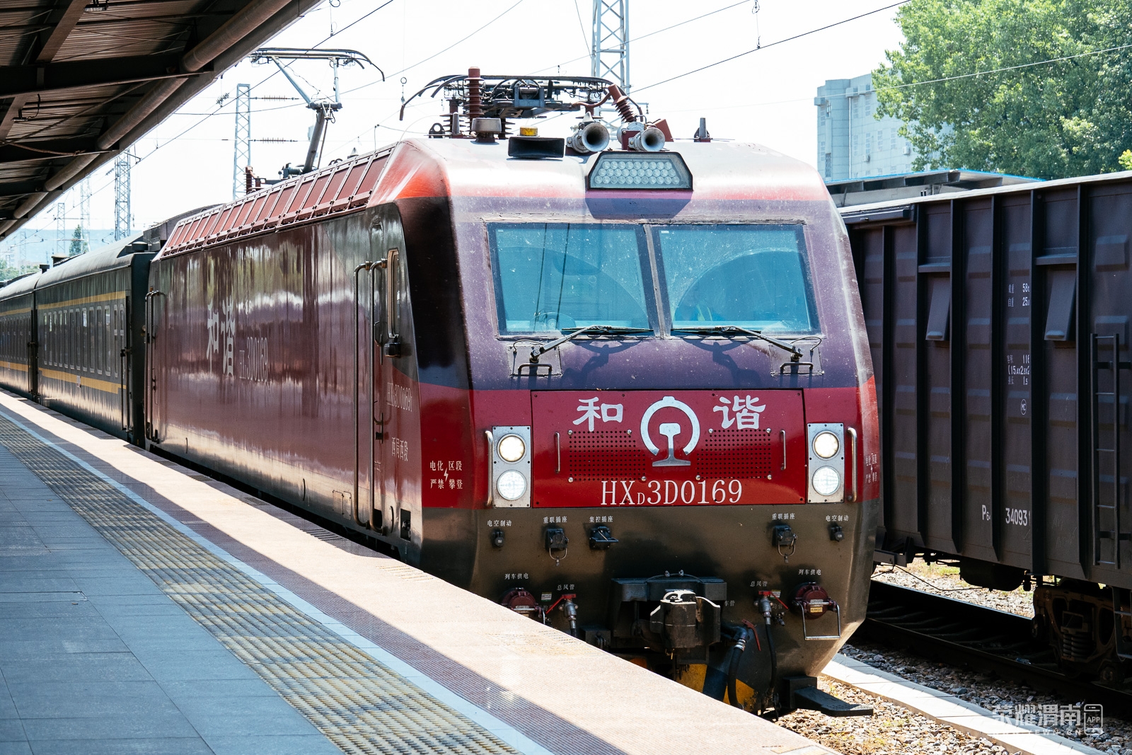 _ZFE8702.jpg