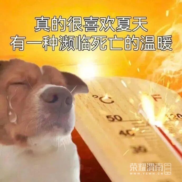 115319f3r3d35xa9vxwxrs.jpeg