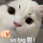 105307kdg5ak7jd5yj4kgd.png