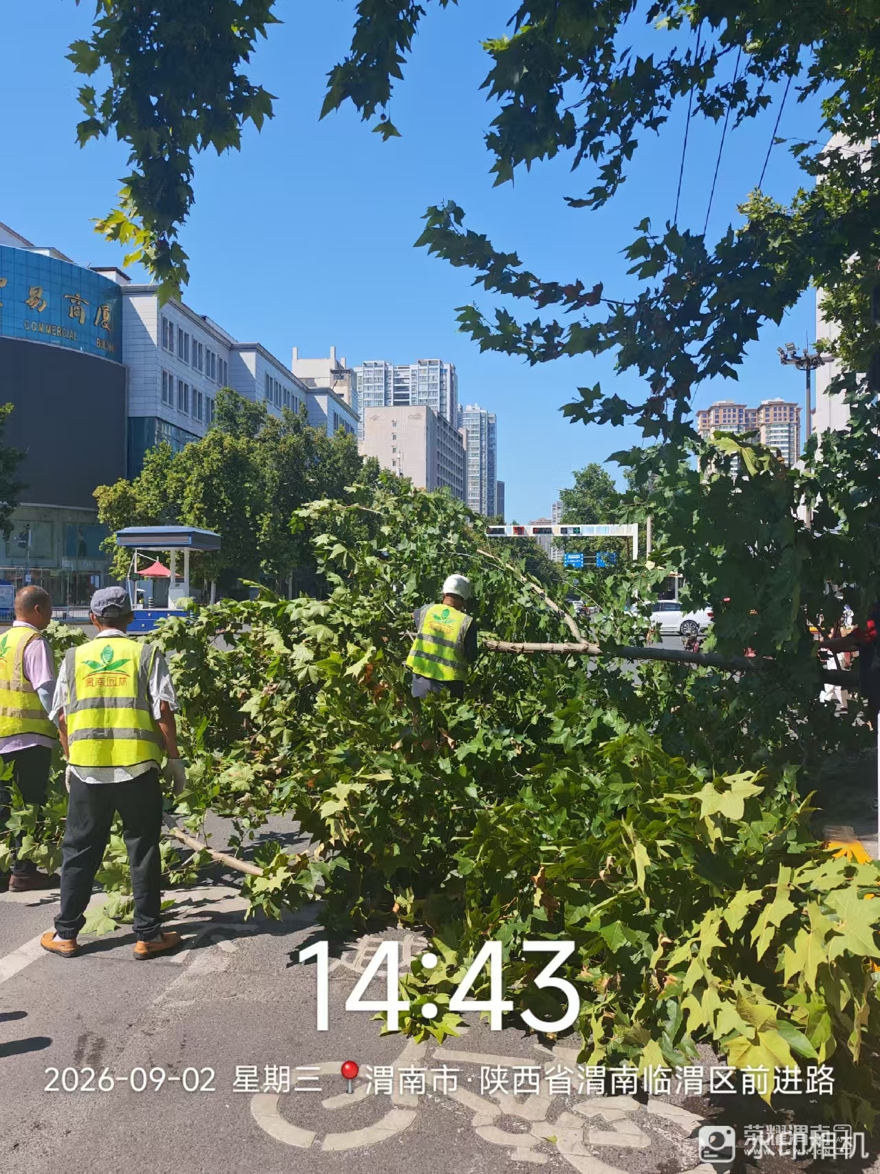 ΢��ͼƬ_20260902145617_7233_26.jpg