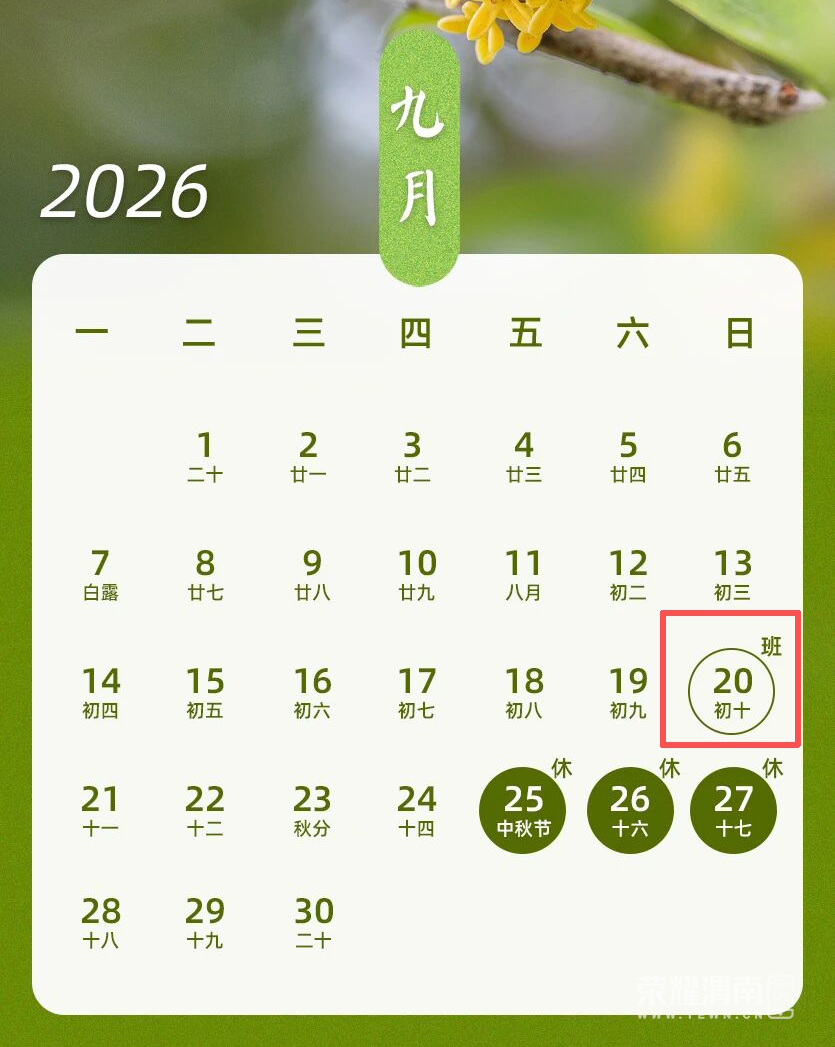 152542j4melwm9didh253g.png