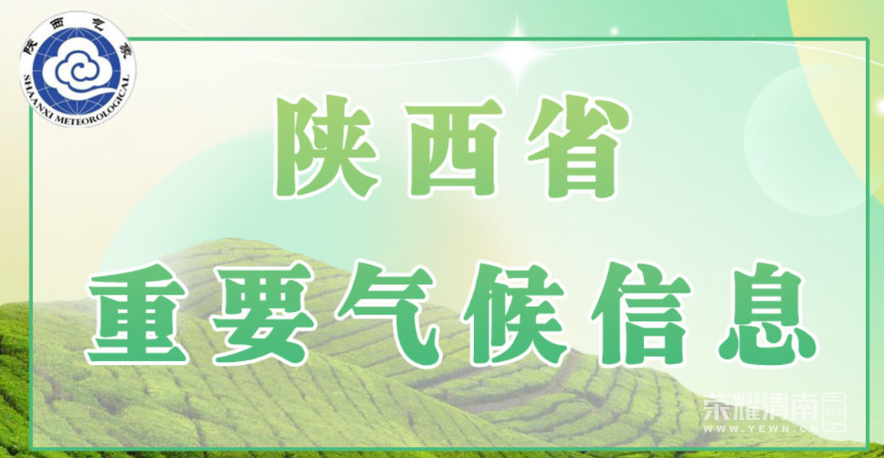 214658bfp28yfrf2uyfurg.png