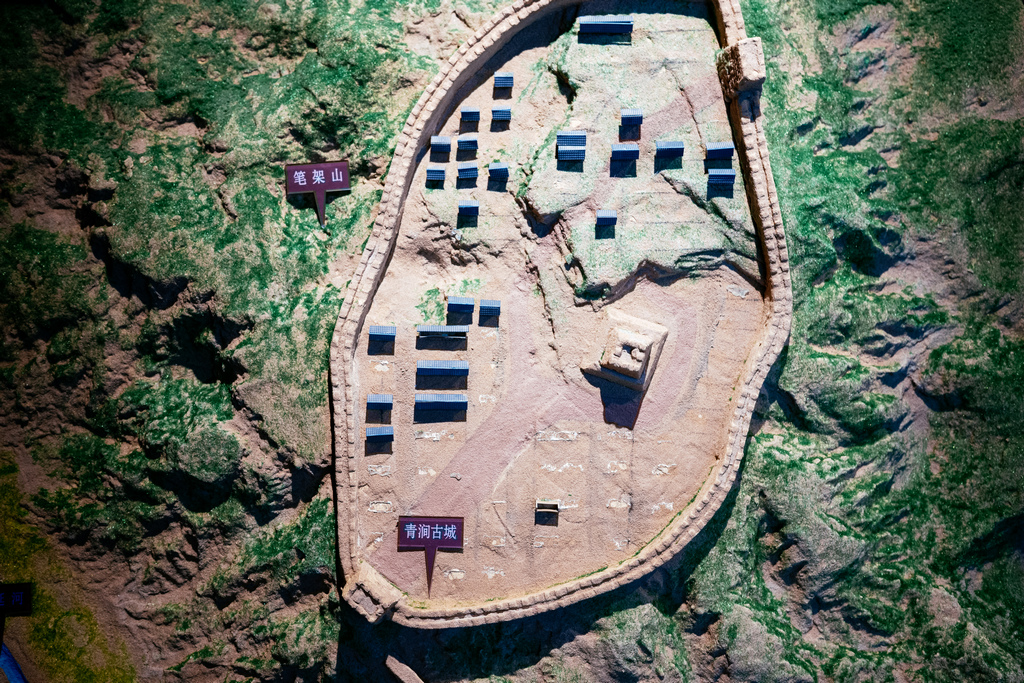 _ZFG7862.jpg