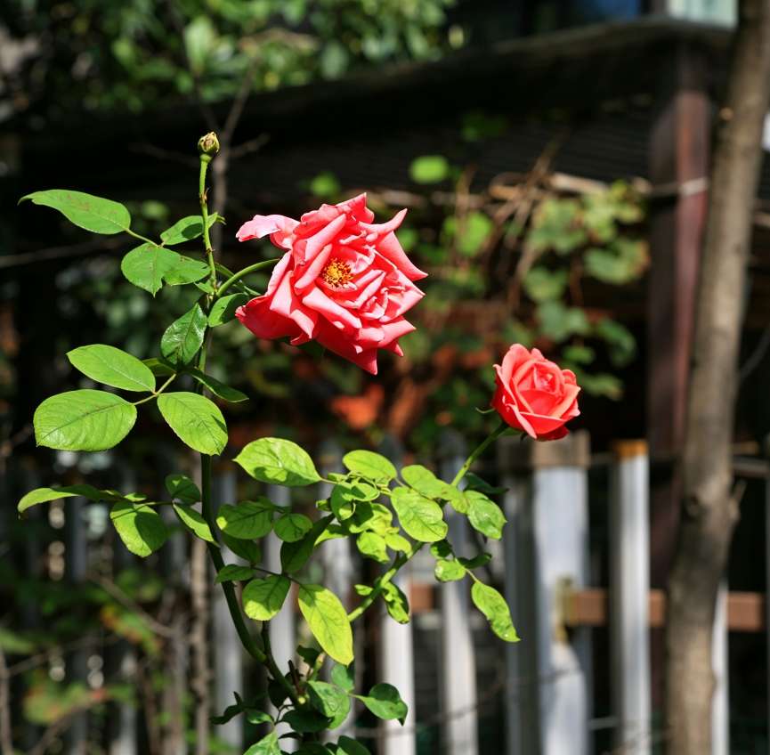 20260919210850front2_0_161040_FsRKbwuru3vyq7jmn3QBXL8UxU2P.jpg