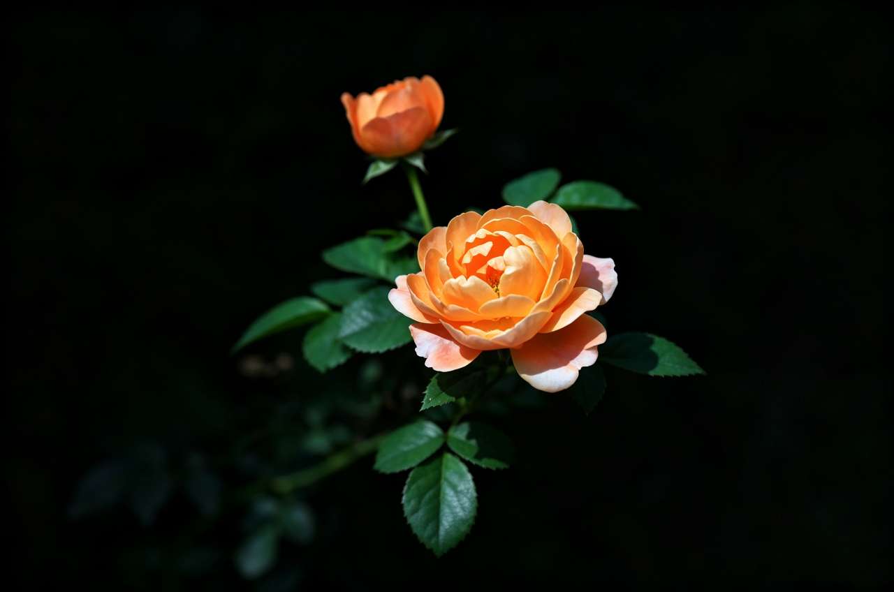 20260919210850front2_0_161040_FmKg_PXZ0OYEZtinxq343QgpVnNV.jpg