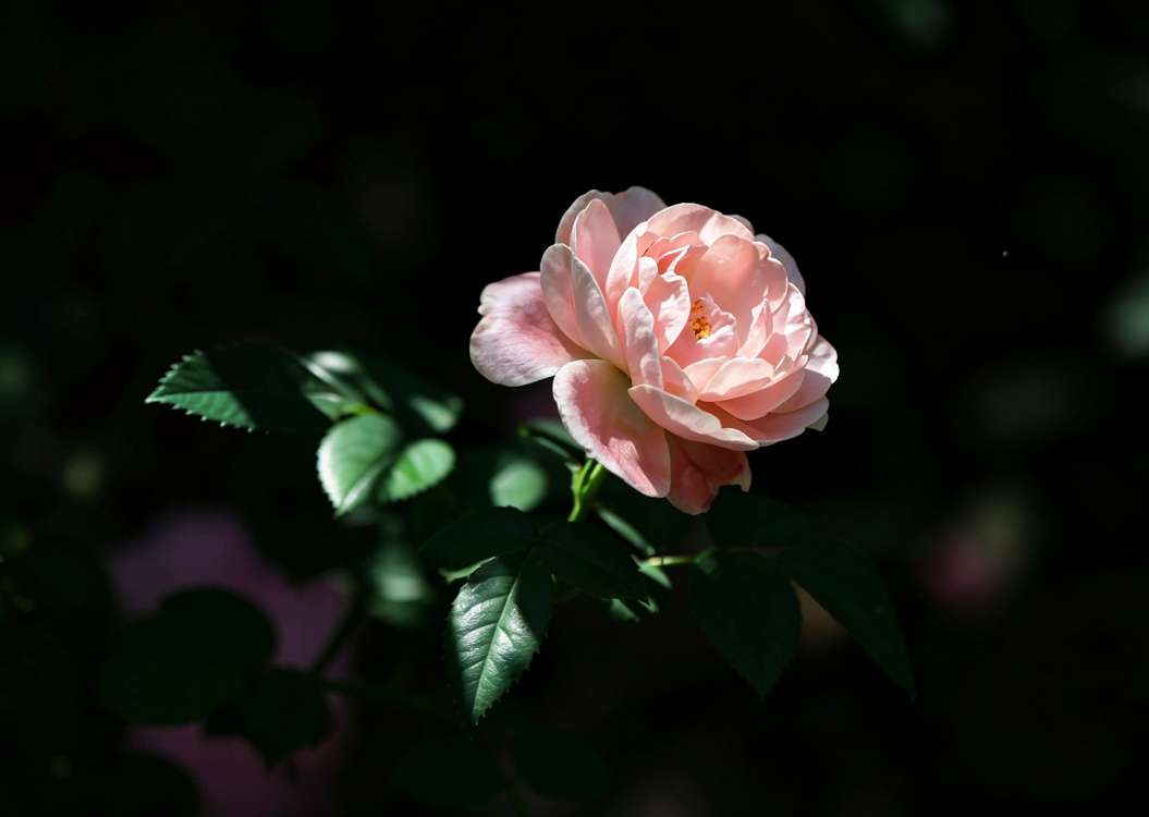 20260919210850front2_0_161040_Fu9301QA6mewKyUVh02Zq8WfRC81.jpg