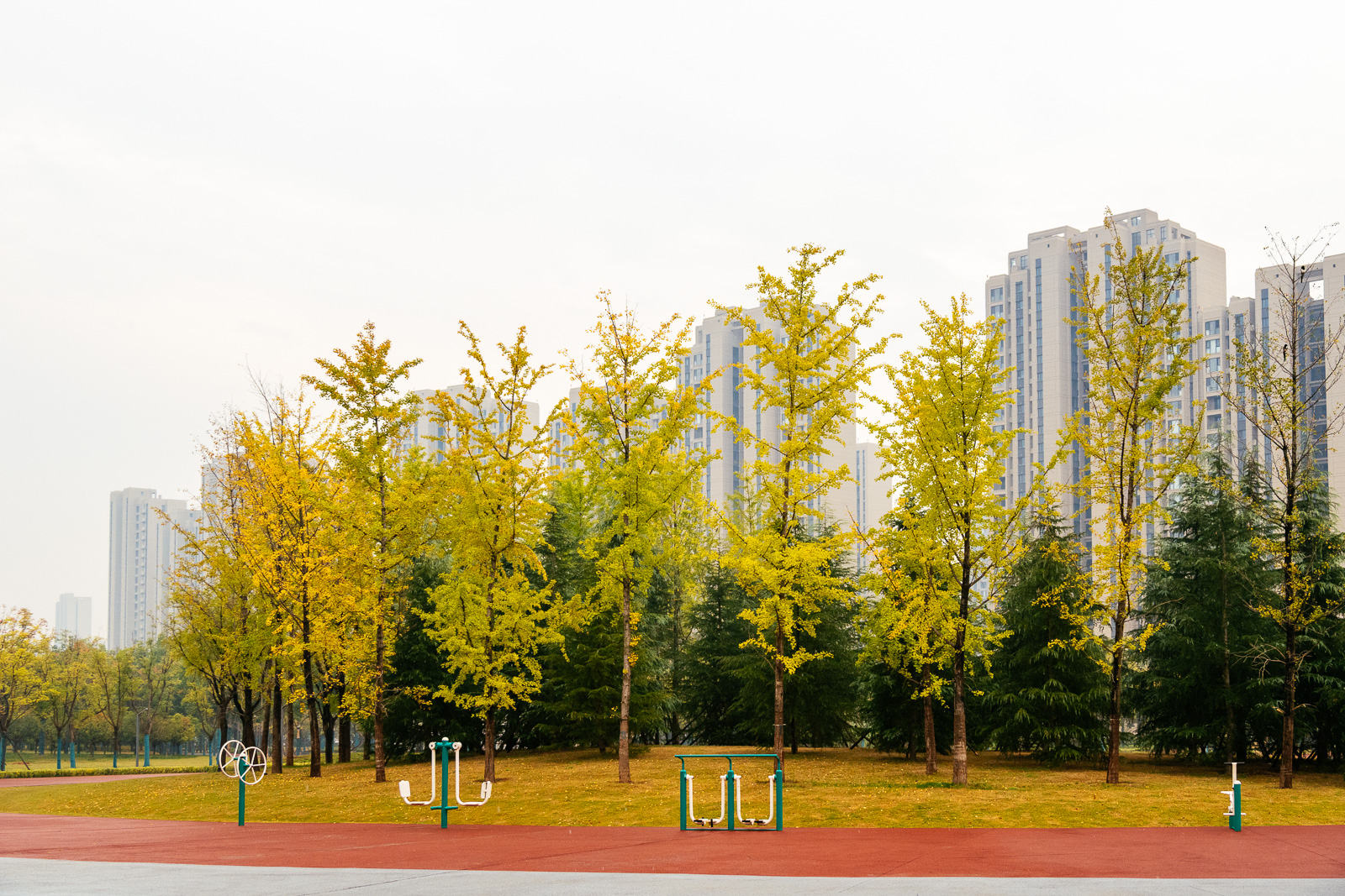 _ZFH3618.jpg