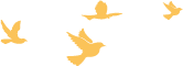 142145s22d12gdii6i3d2d.png