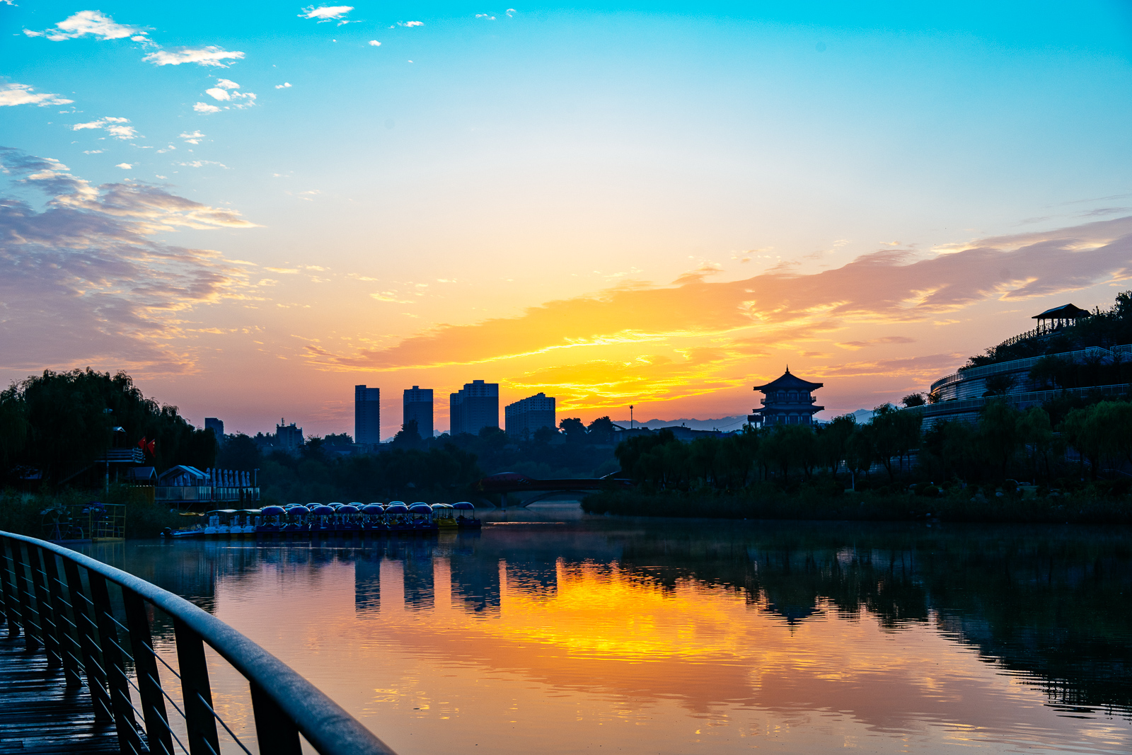 _ZFH3942.jpg