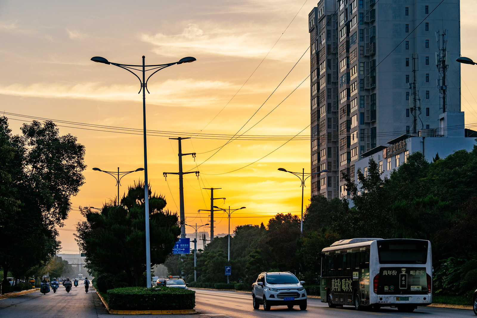 _ZFH4049.jpg