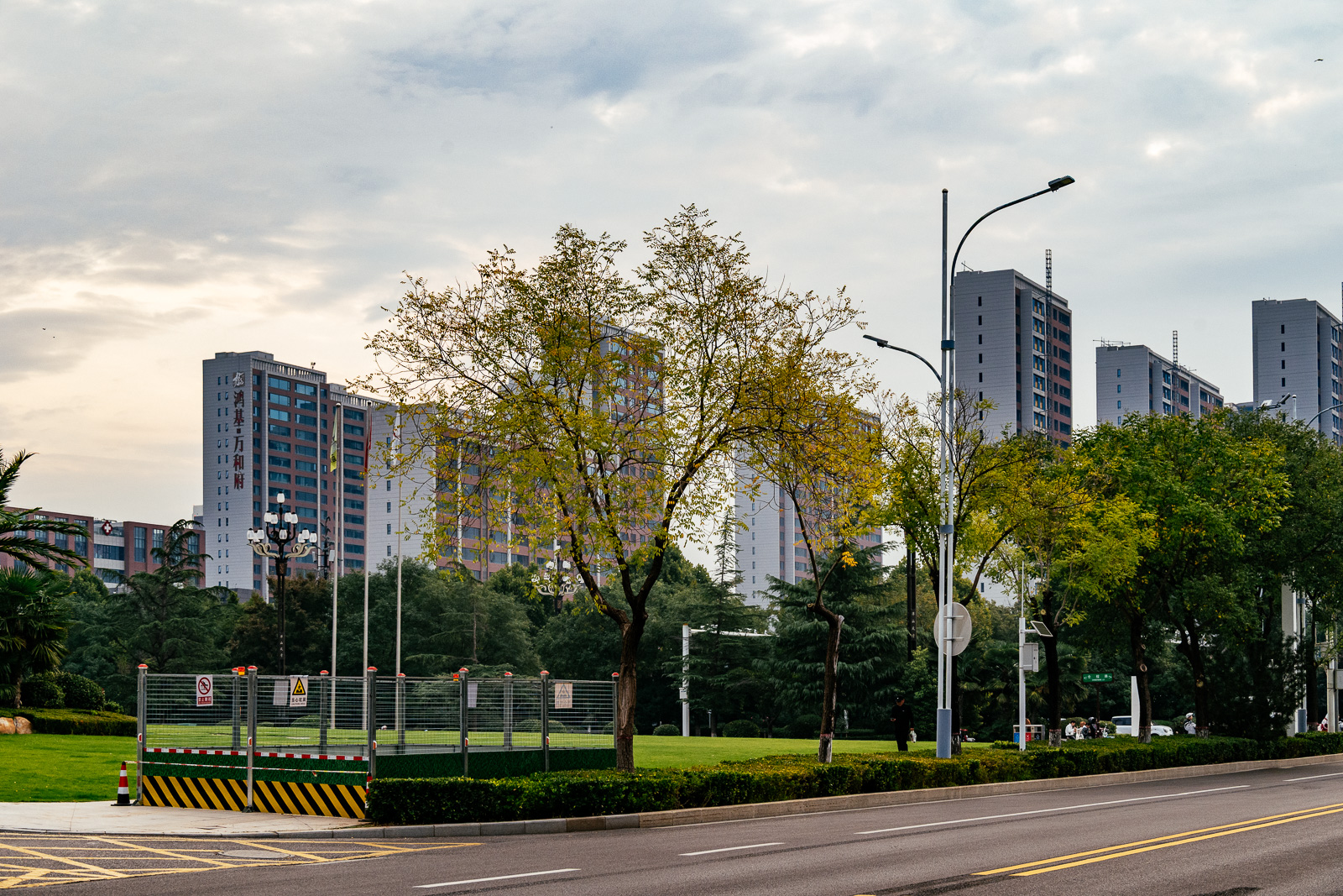 _ZFH4900.jpg