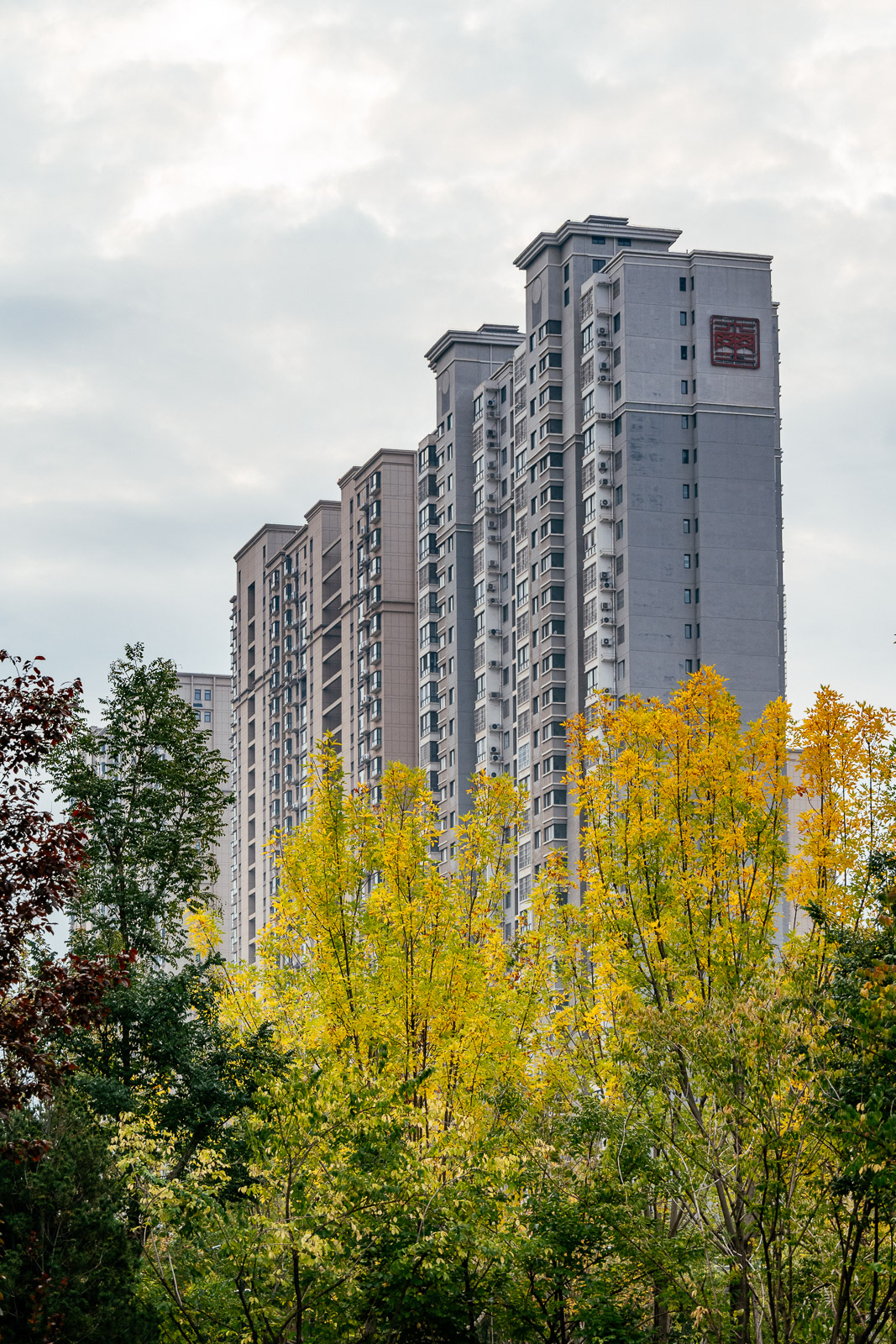 _ZFH4904.jpg