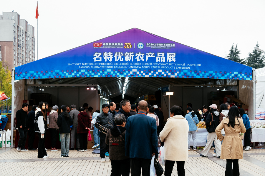 _ZFH6807.jpg