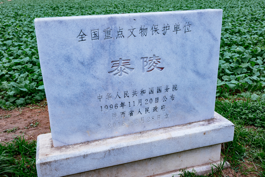 _ZFH6939.jpg