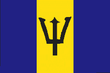 6.gif