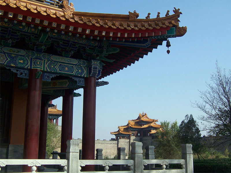 ��������¥5