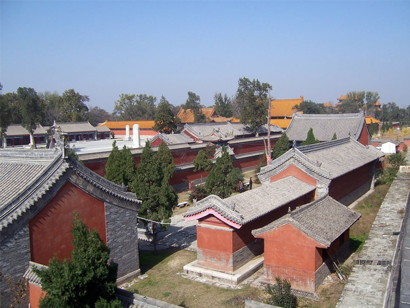 �������ֲ�