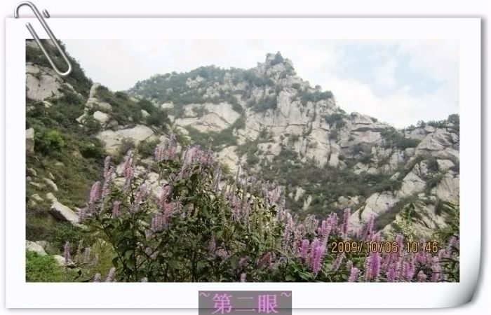 nEO_IMG_��Ƭ 095.jpg