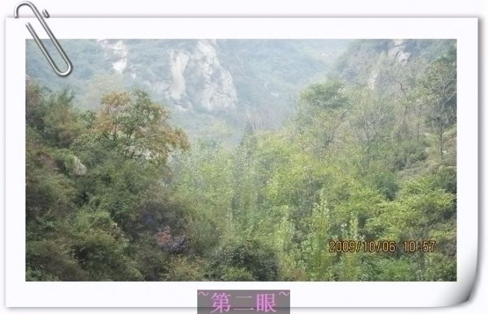 nEO_IMG_��Ƭ 106.jpg