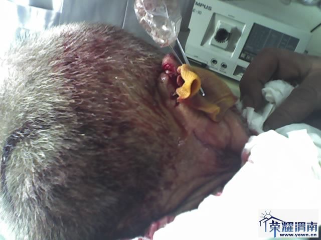 18-01-10_1427.jpg