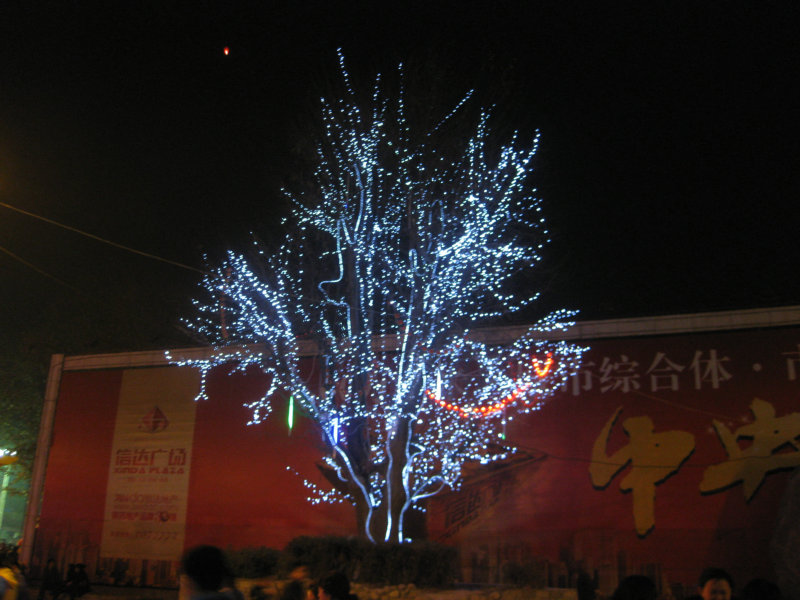 IMG_2360.JPG
