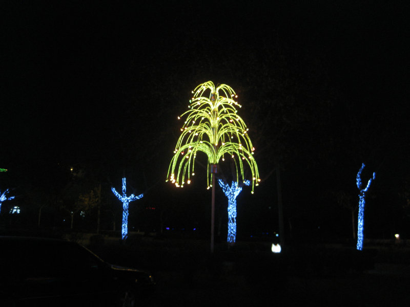 IMG_2346.JPG