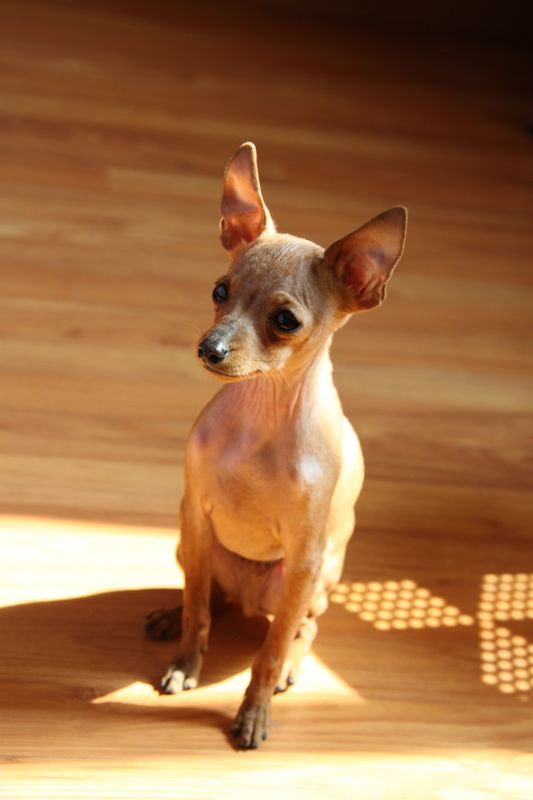201010 031.jpg