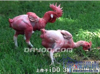 �ϵ»������͡�������